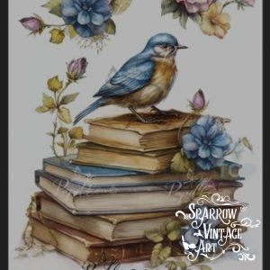 Garden-Study lll - Rub on Image Transfer